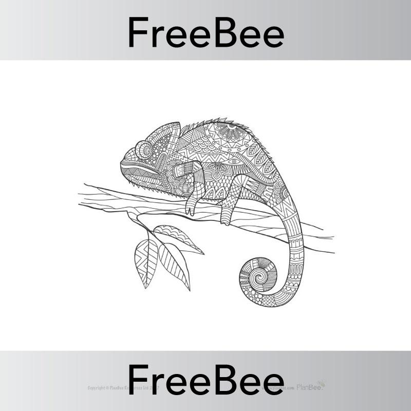 PlanBee Indian Animals Colouring Sheet | Free teaching resources | PlanBee