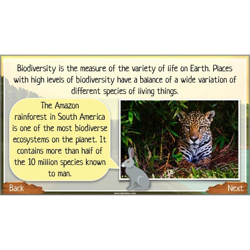 PlanBee Ecosystems for Kids | Just One Change ESR Lessons | PlanBee