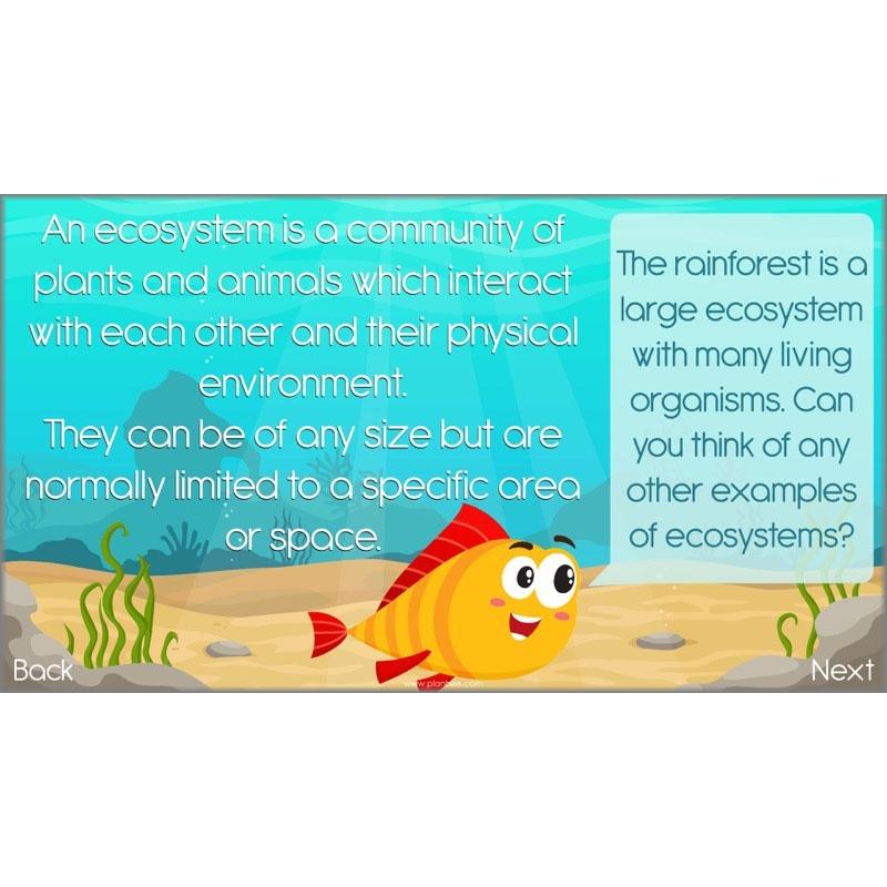 PlanBee Ocean Ecosystems KS2 ESR Lessons by PlanBee