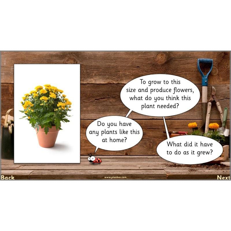 PlanBee Secret World of Plants - KS1 Science Scheme of Work: Year 2