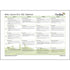 PlanBee Primary Maths Curriculum for KS1 & KS2 | Ready to Teach