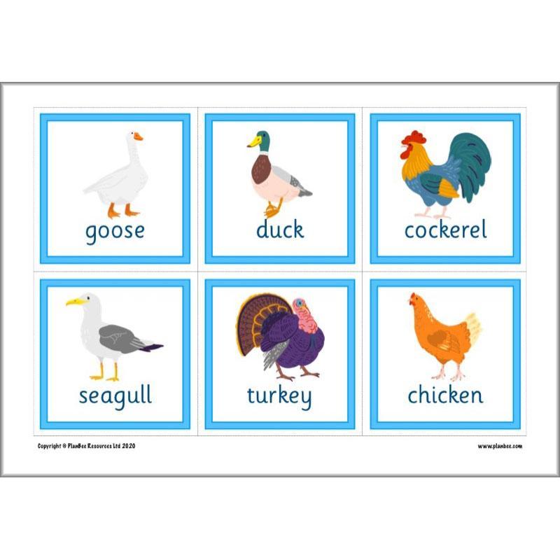 PlanBee FREE Educational Games Pack