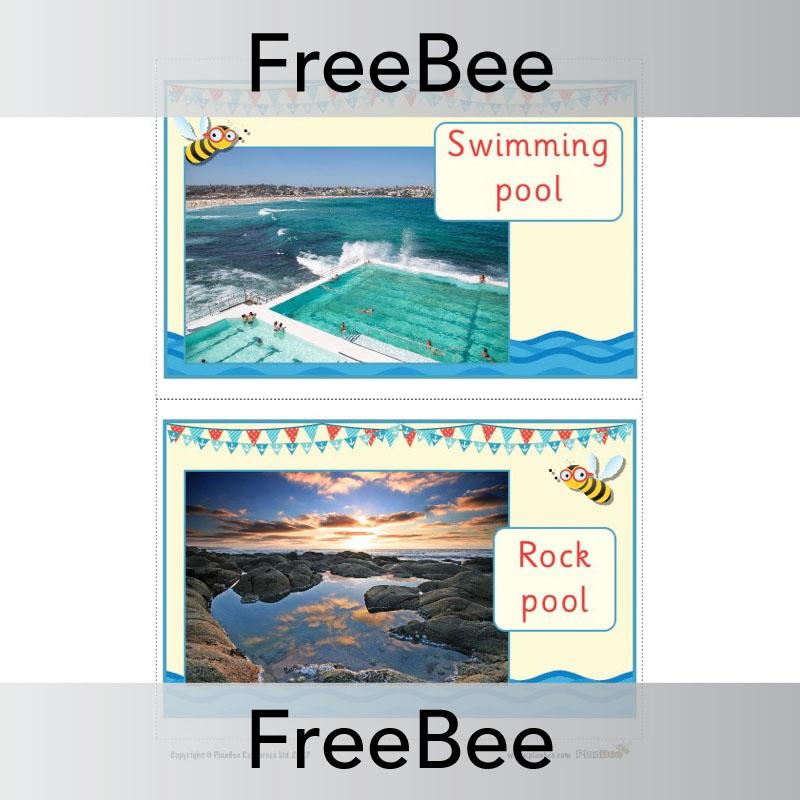PlanBee FREE Seaside Materials Display  | PlanBee FreeBees