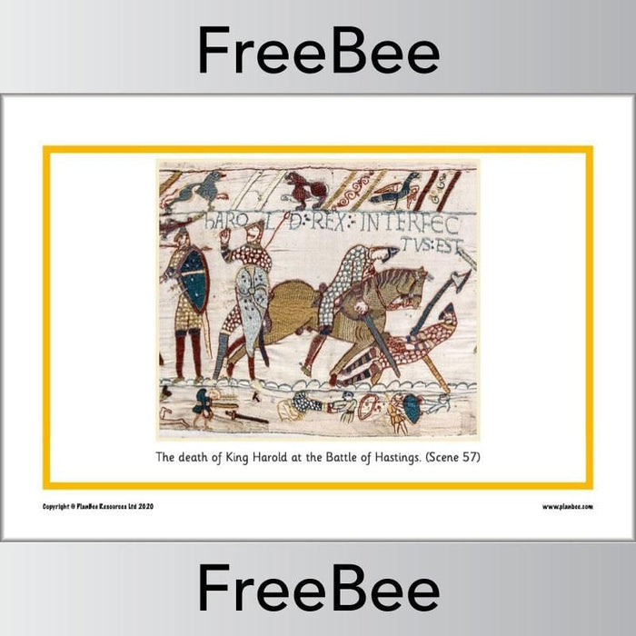 PlanBee Bayeux Tapestry KS1 Picture Cards by PlanBee