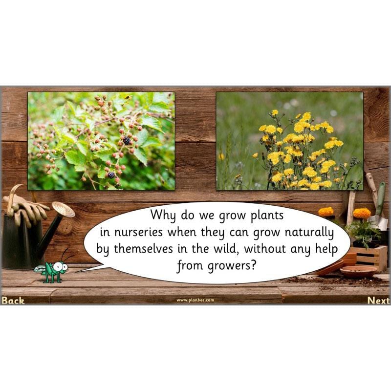 PlanBee Secret World of Plants - KS1 Science Scheme of Work: Year 2