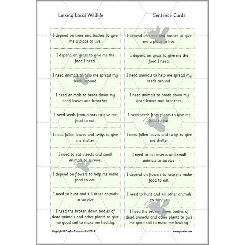 PlanBee Biodiversity KS1 Linking Local Wildlife ESR Lessons by PlanBee
