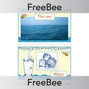 PlanBee FREE Seaside Materials Display  | PlanBee FreeBees