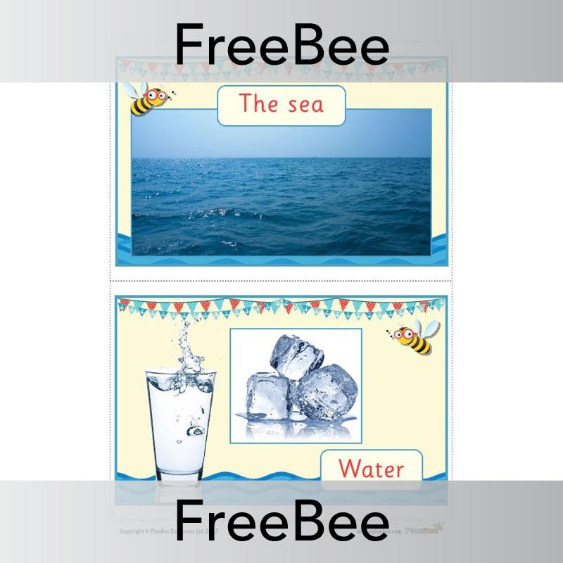 PlanBee FREE Seaside Materials Display  | PlanBee FreeBees