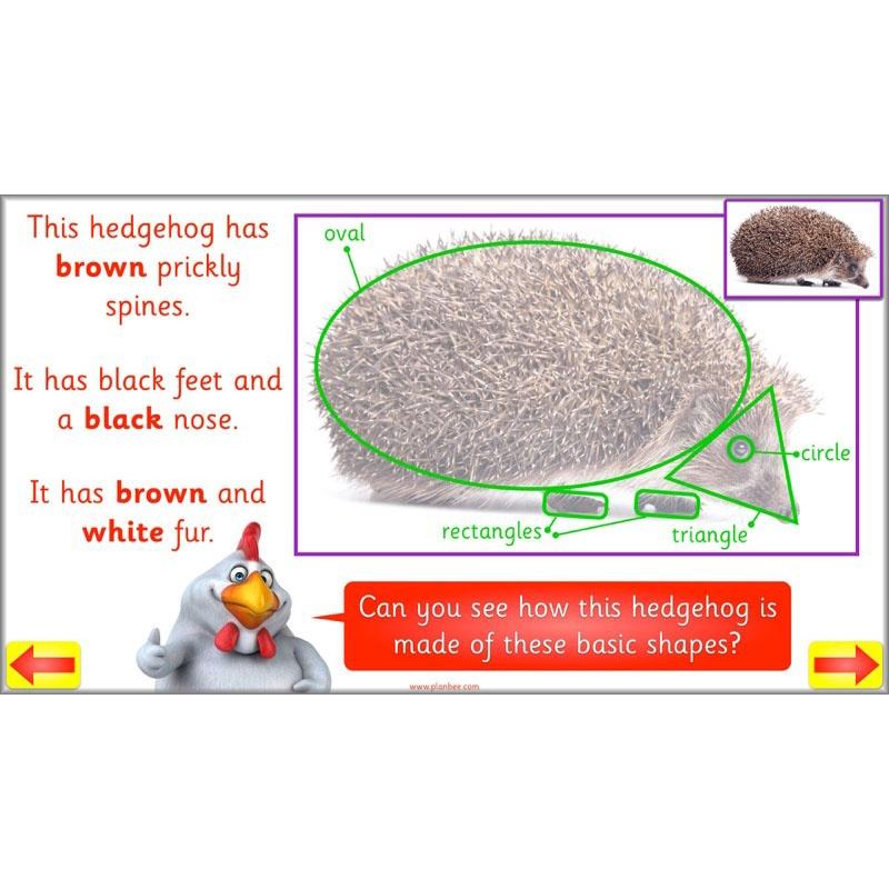 PlanBee Animal Art lessons and planning for KS1 created by PlanBee