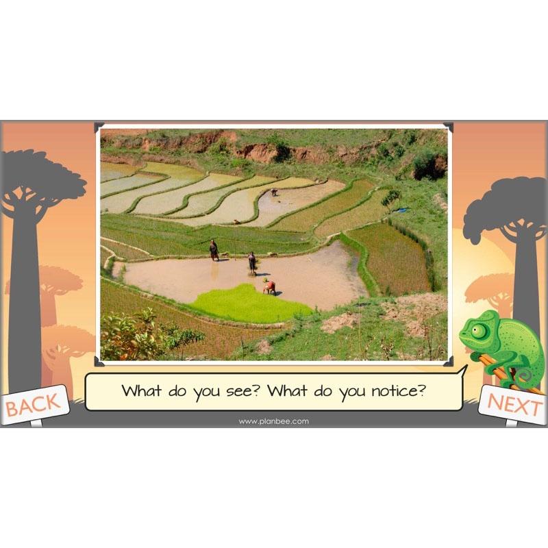 PlanBee Exploring Madagascar: LKS2 Year 3 & Year 4 set of Geography lessons