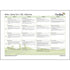 PlanBee Primary Maths Curriculum for KS1 & KS2 | Ready to Teach