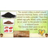 PlanBee Earth Art KS1 Nature Art for Kids by PlanBee