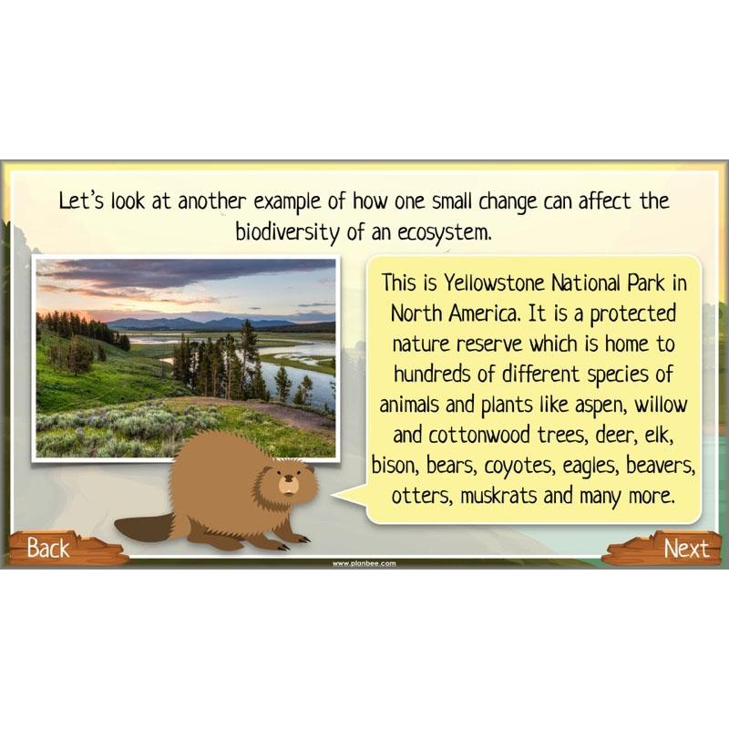 PlanBee Ecosystems for Kids | Just One Change ESR Lessons | PlanBee