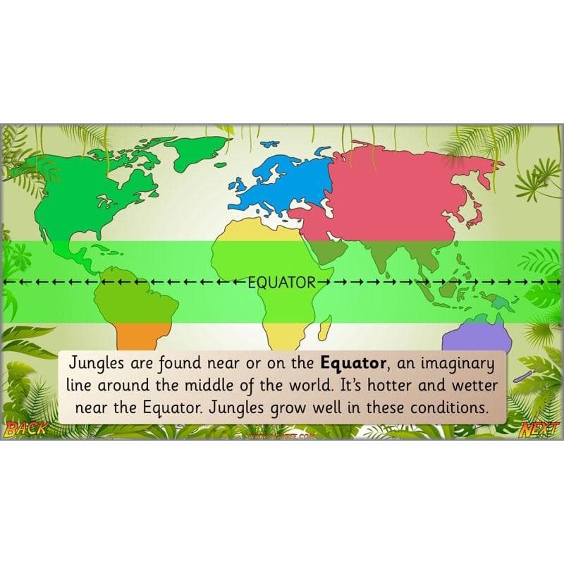 PlanBee Let's go to the Jungle Geography lessons for KS1