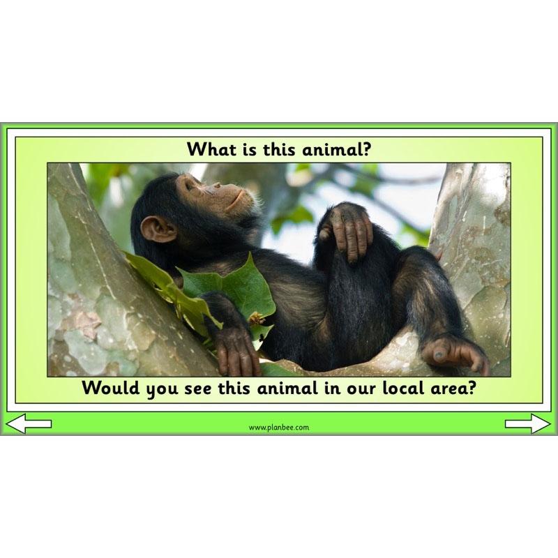 PlanBee Biodiversity KS1 Linking Local Wildlife ESR Lessons by PlanBee