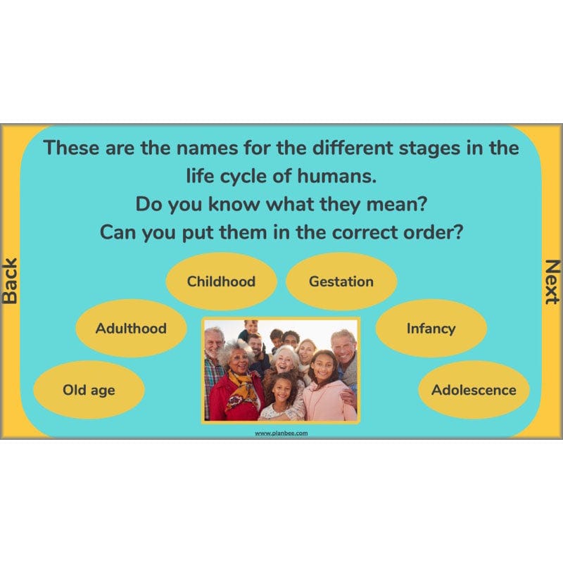 PlanBee Human Life Cycle KS2 lessons | Year 5 Science by PlanBee