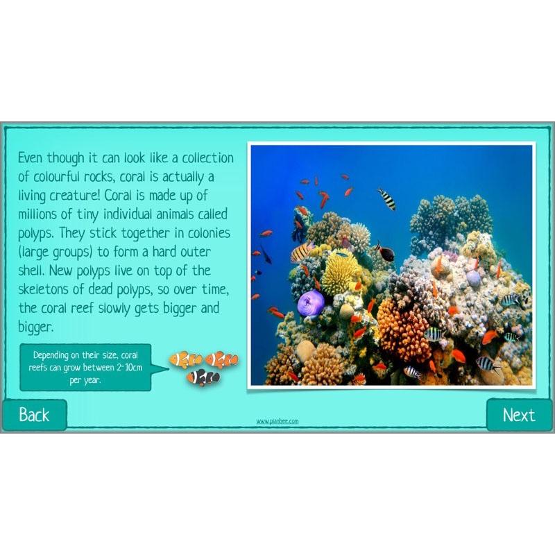 PlanBee Biodiversity KS2 ESR Lesson What is Biodiversity? by PlanBee