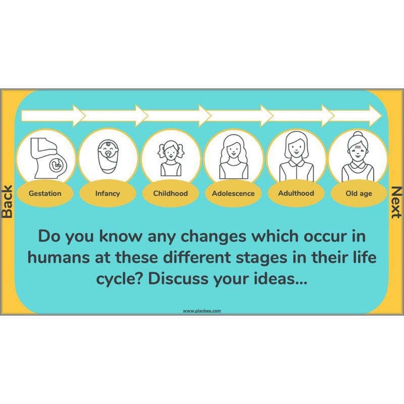 PlanBee Human Life Cycle KS2 lessons | Year 5 Science by PlanBee