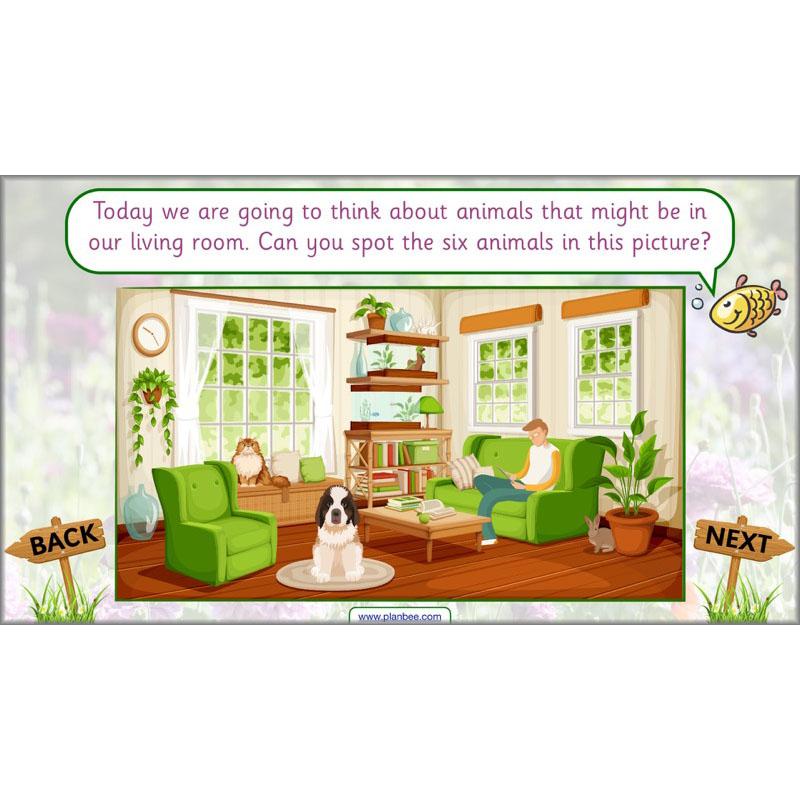 PlanBee Pets and Gardens Year 1 Science Lesson Plans by PlanBee