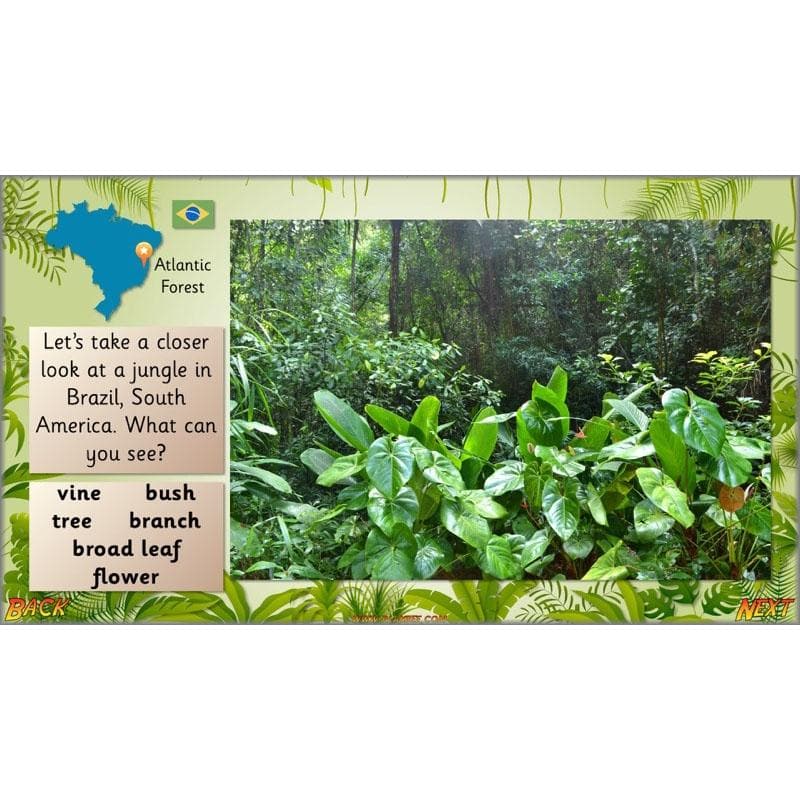 PlanBee Let's go to the Jungle Geography lessons for KS1