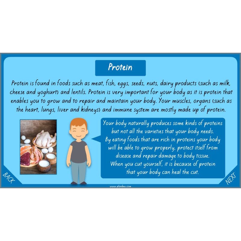 PlanBee Healthy Bodies Animals including Humans Year 6 Planning