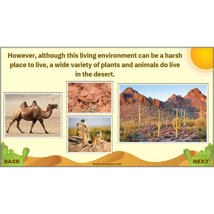 PlanBee Desert Life: KS2 Science Plans