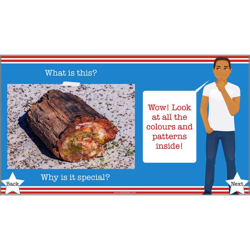 PlanBee The Unforgettable Science of America: KS2 Science Planning