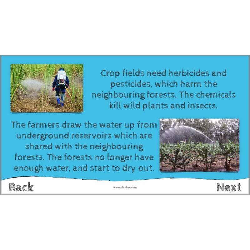 PlanBee I Speak for the Trees KS2 Ecosystems ESR Lessons