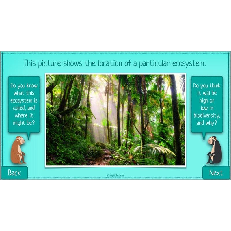 PlanBee Biodiversity KS2 ESR Lesson What is Biodiversity? by PlanBee