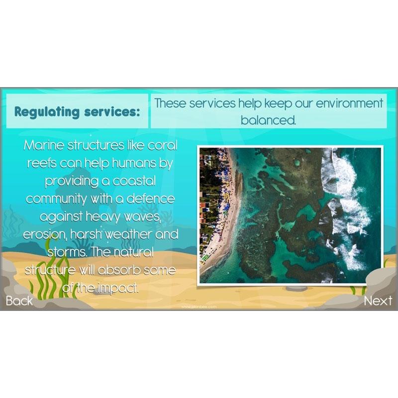 PlanBee Ocean Ecosystems KS2 ESR Lessons by PlanBee