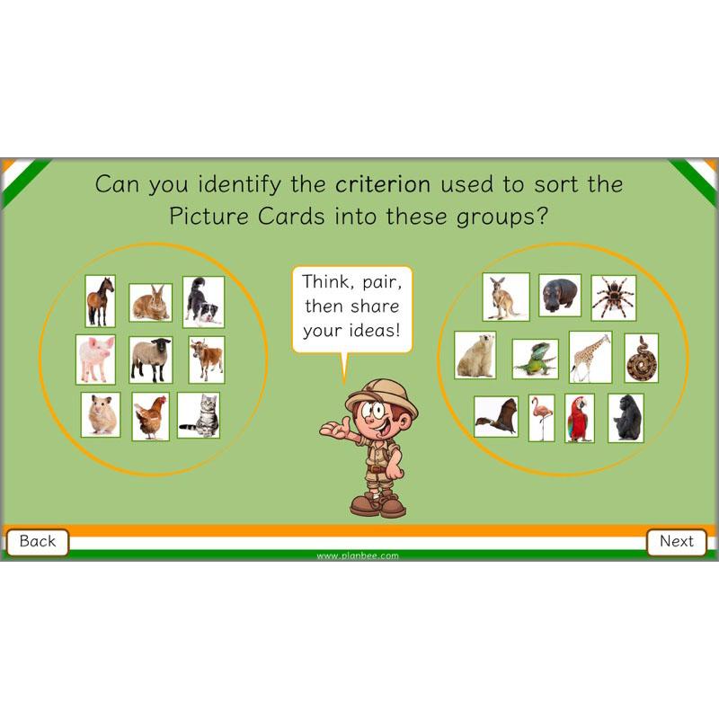 PlanBee Animals of India complete Science scheme of work for KS2