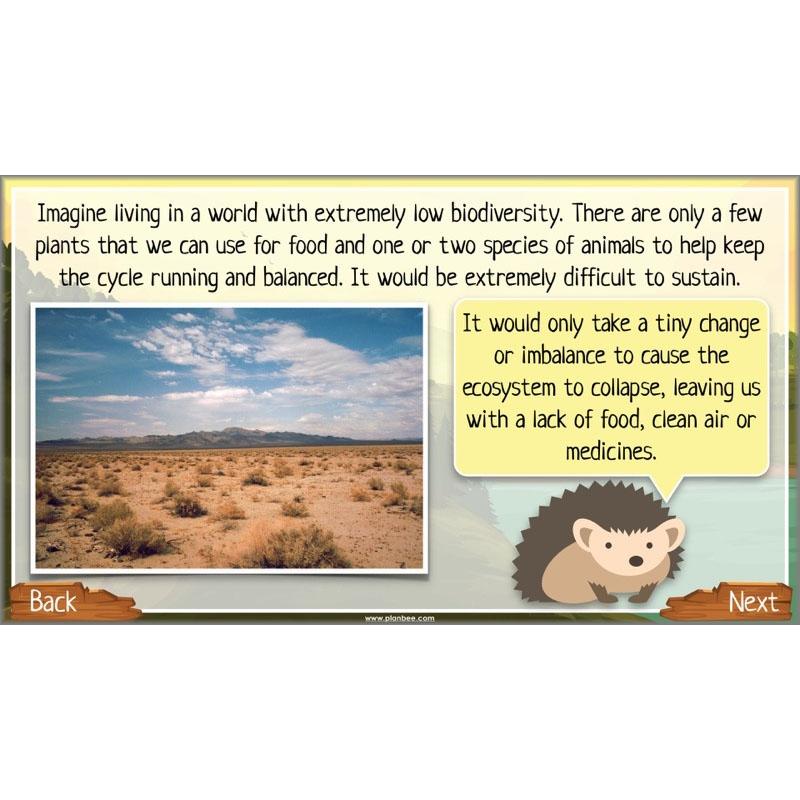 PlanBee Ecosystems for Kids | Just One Change ESR Lessons | PlanBee