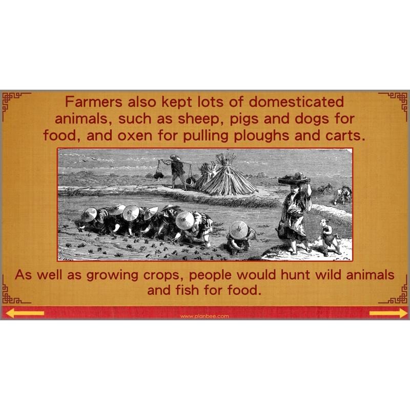 PlanBee Shang Dynasty KS2 Planning Pack for Year 5 & 6 by PlanBee