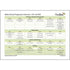 PlanBee Primary Maths Curriculum for KS1 & KS2 | Ready to Teach