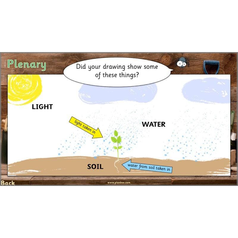 PlanBee Secret World of Plants - KS1 Science Scheme of Work: Year 2