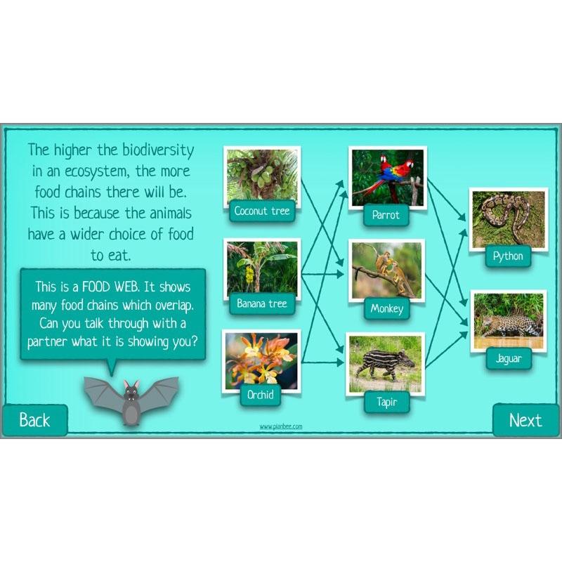 PlanBee Biodiversity KS2 ESR Lesson What is Biodiversity? by PlanBee