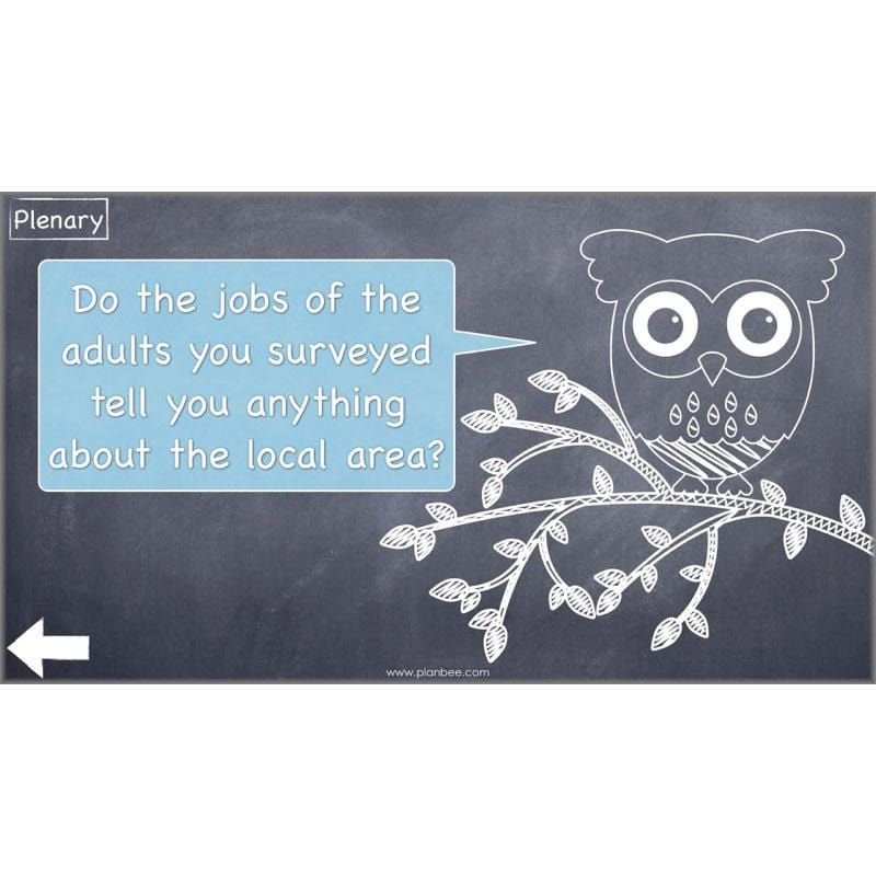 PlanBee Investigating Our Local Area: Year 3 Geography scheme of work