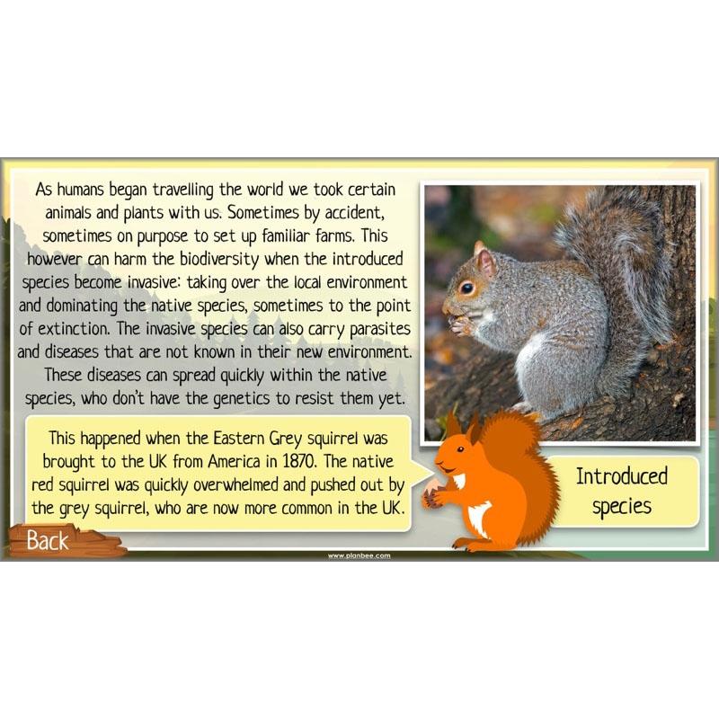 PlanBee Ecosystems for Kids | Just One Change ESR Lessons | PlanBee