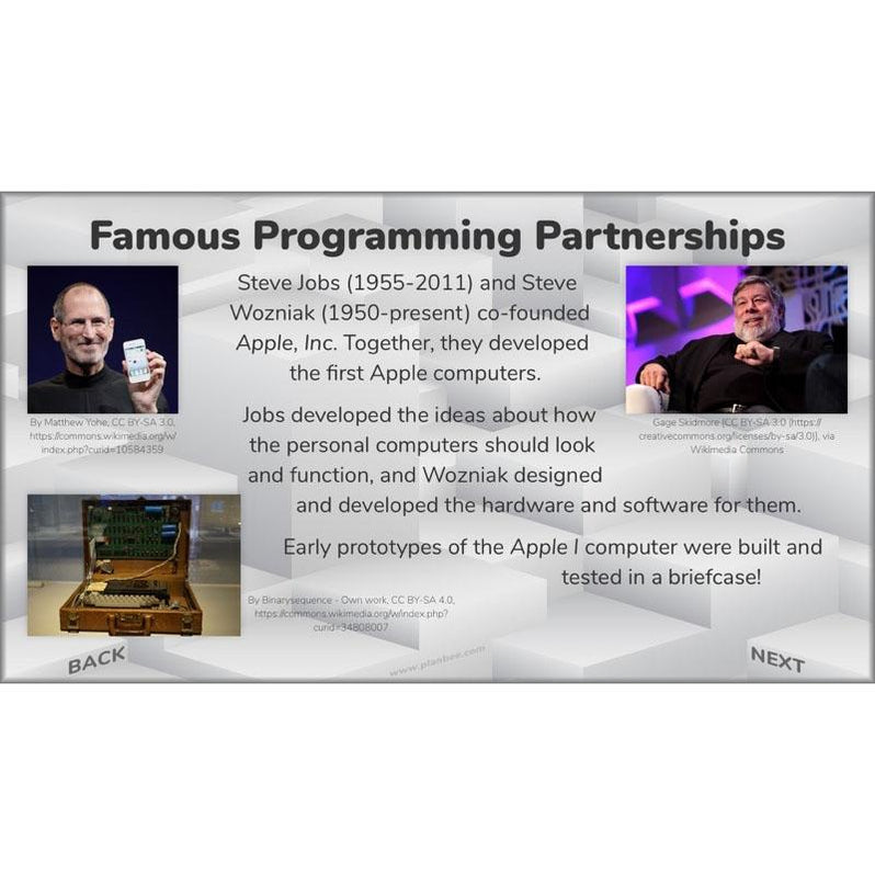 Ks2 Computer Programming Target Programming Pioneers Coding KS2 DT by PlanBee