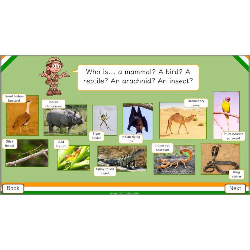 PlanBee Animals of India complete Science scheme of work for KS2