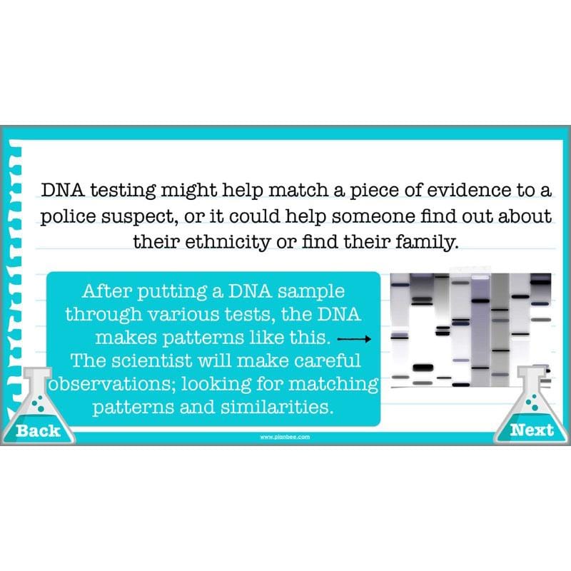 Scientific Enquiry KS2 Lessons - What Do Scientists Do?