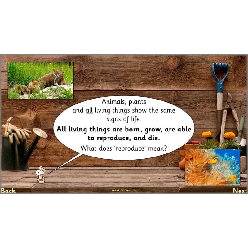 PlanBee Secret World of Plants - KS1 Science Scheme of Work: Year 2