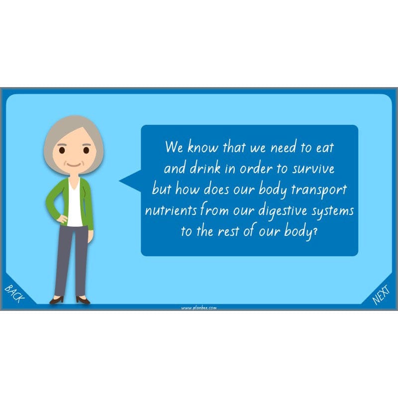 PlanBee Healthy Bodies Animals including Humans Year 6 Planning