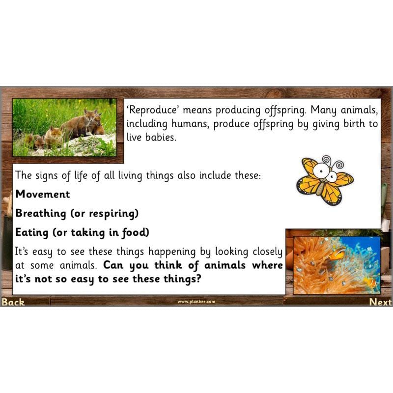 PlanBee Secret World of Plants - KS1 Science Scheme of Work: Year 2