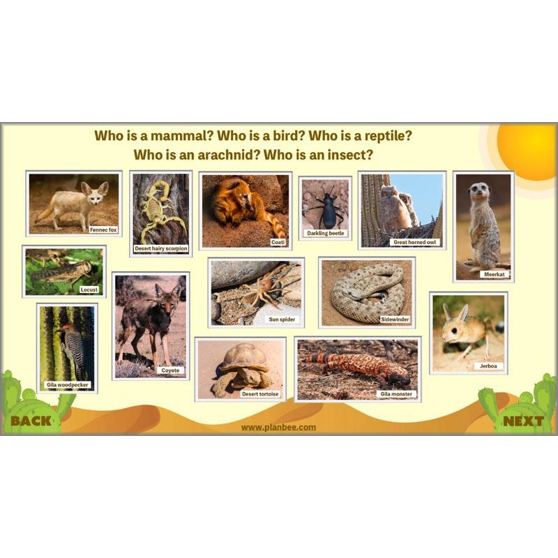 Desert Habitat KS2 Science Lessons by PlanBee