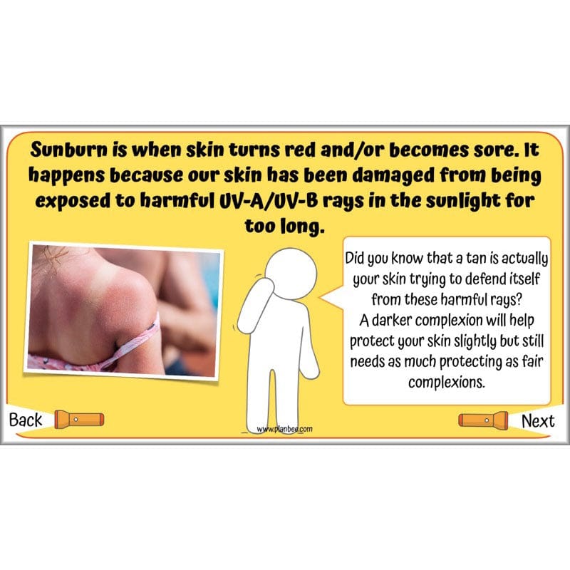 PlanBee Light Year 3 Science Planning Pack by PlanBee