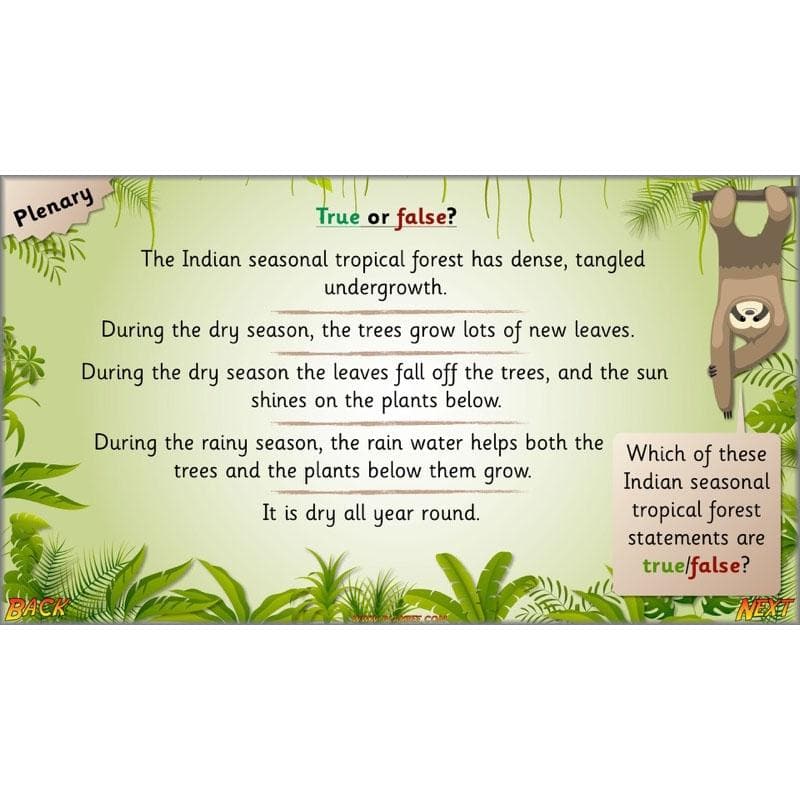 PlanBee Let's go to the Jungle Geography lessons for KS1