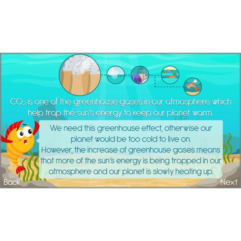 PlanBee Ocean Ecosystems KS2 ESR Lessons by PlanBee