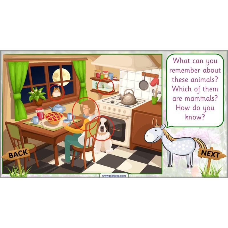 PlanBee Pets and Gardens Year 1 Science Lesson Plans by PlanBee