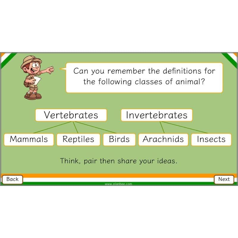 PlanBee Animals of India complete Science scheme of work for KS2